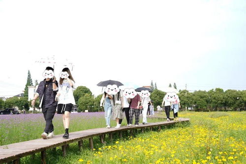 趣也青年 這個(gè)周末有點(diǎn)甜——戶外燒烤、游戲暢玩與花海打卡的動(dòng)漫之旅