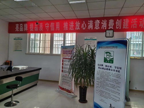 巢湖12家單位入選合肥市級(jí)示范 金喜貓食品廠(chǎng)攜旅客票務(wù)代理上榜